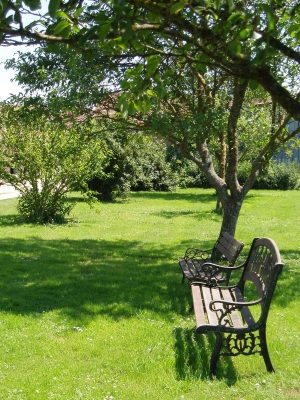 Jardin